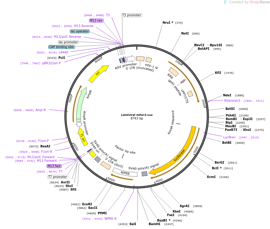 Lentiviral